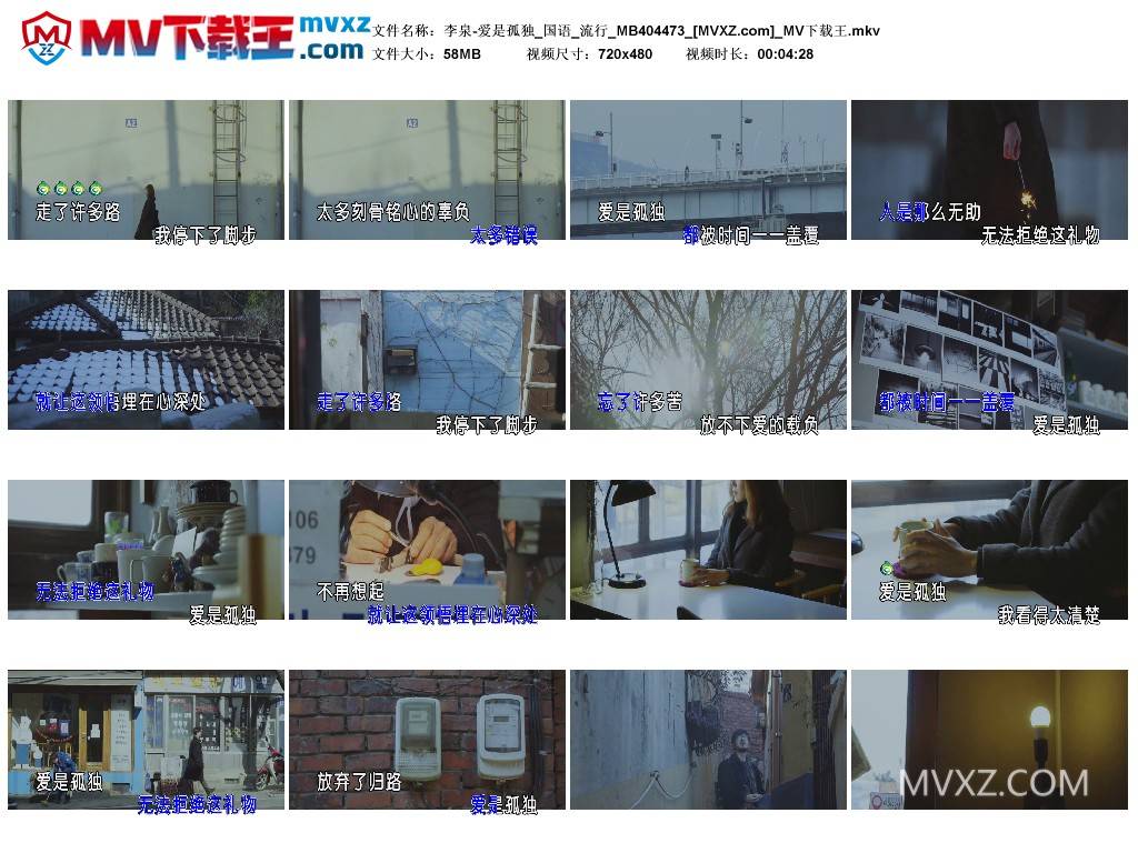 李泉-爱是孤独_国语_流行_MB404473